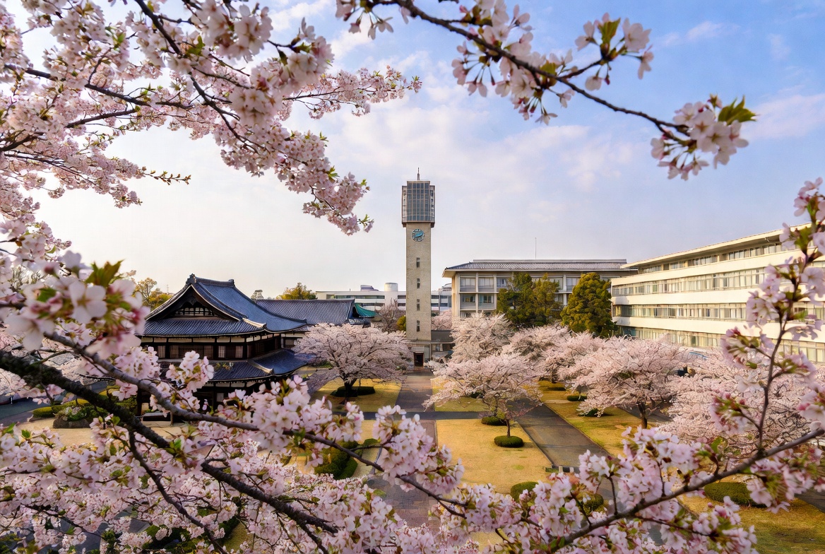 <strong>京都大学</strong>