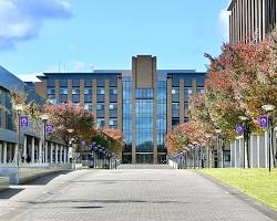 东北大学